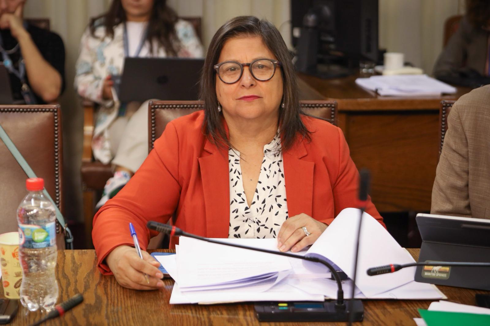 Diputada Raphael confirmó visita del Subsecretario de Agricultura a la región durante las próximas horas