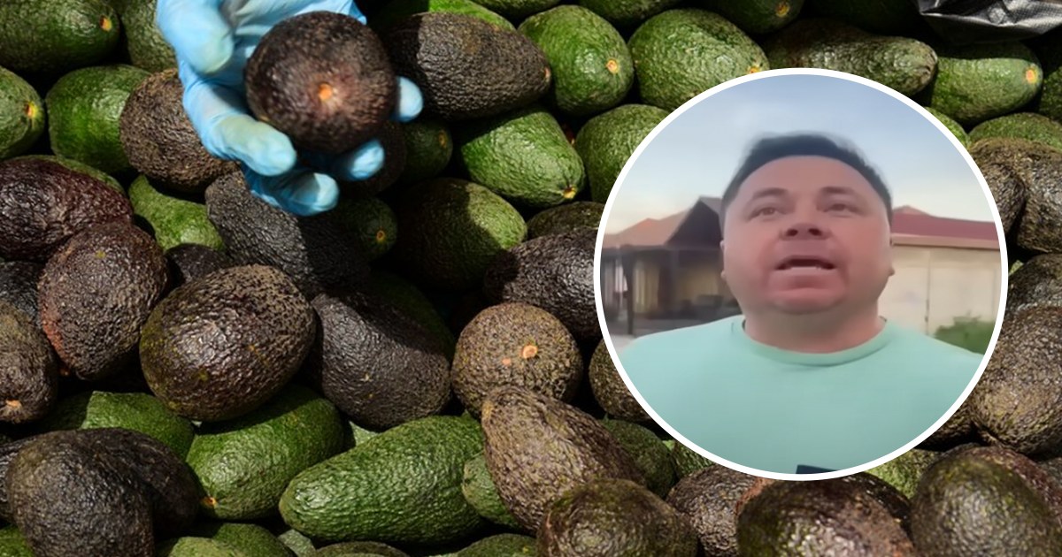 Detenido sujeto por reiteradas estafas: Exdueño de verdulería en Puerto Aysén será formalizado por delitos económicos