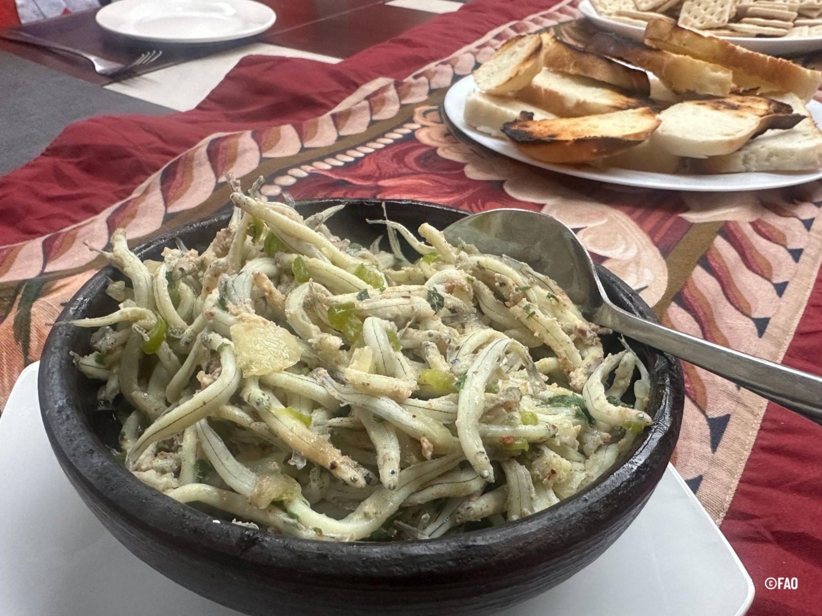 De la Patagonia a Italia: FAO y Universidad de Lengua y Comunicación de Milán grabaron documental sobre el Puye en Puerto Raúl Marín Balmaceda