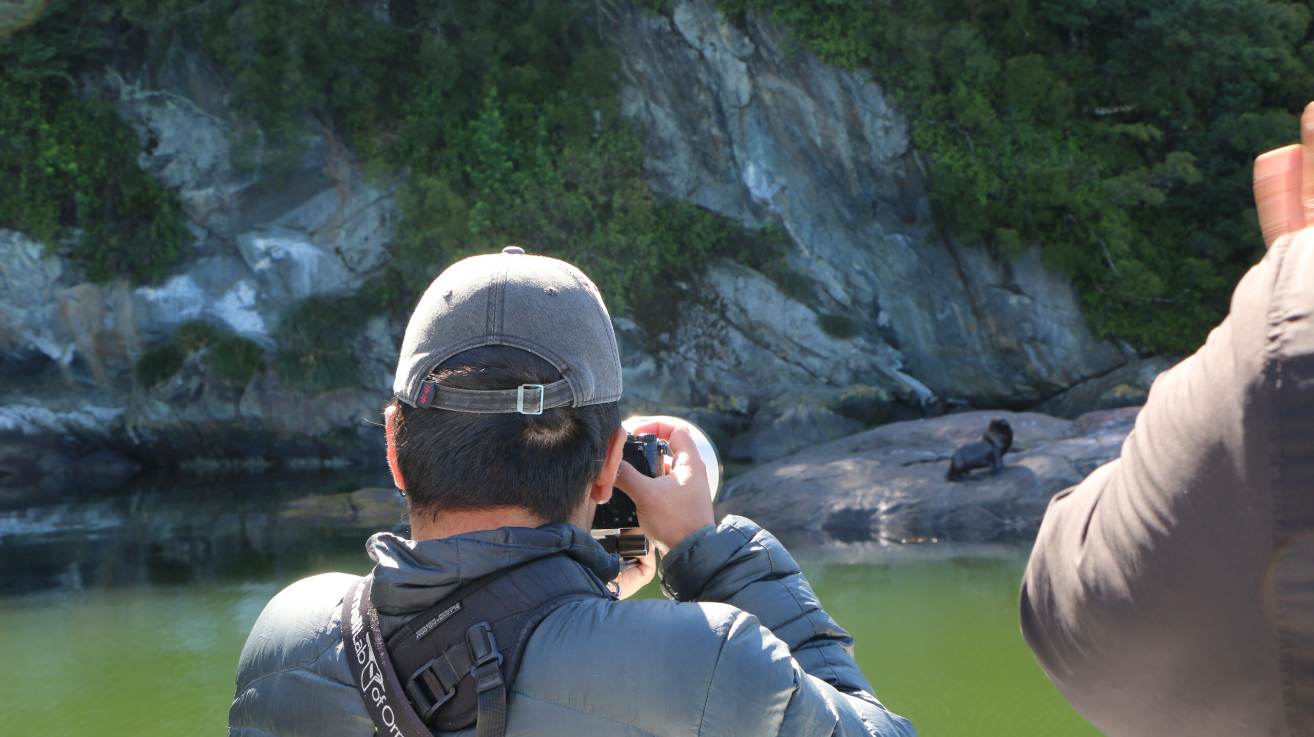 Culmina monitoreo ciudadano en ACMU Pitipalena-Añihué: Más de 43 especies identificadas y competencias de habitantes locales podrían recibir certificación estatal 