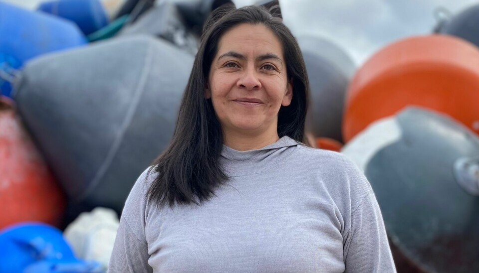 COLUMNA DE OPINIÓN: Cuando el desarrollo regional impacta en la vida cotidiana: Katia Inostroza – Presidenta Asociación Gremial de Proveedores de la Industria Acuícola de Aysén – Acuiprov