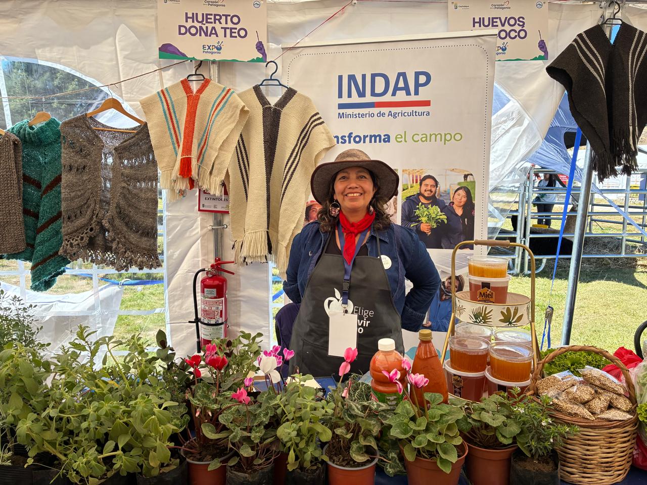 Lanzan innovador localizador de ferias libres para fortalecer el acceso a alimentos saludables y frescos