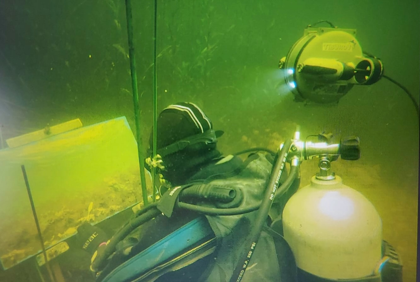 Puerto Aysén será escenario de innovadora exposición que explora el paisaje subacuático de la Patagonia