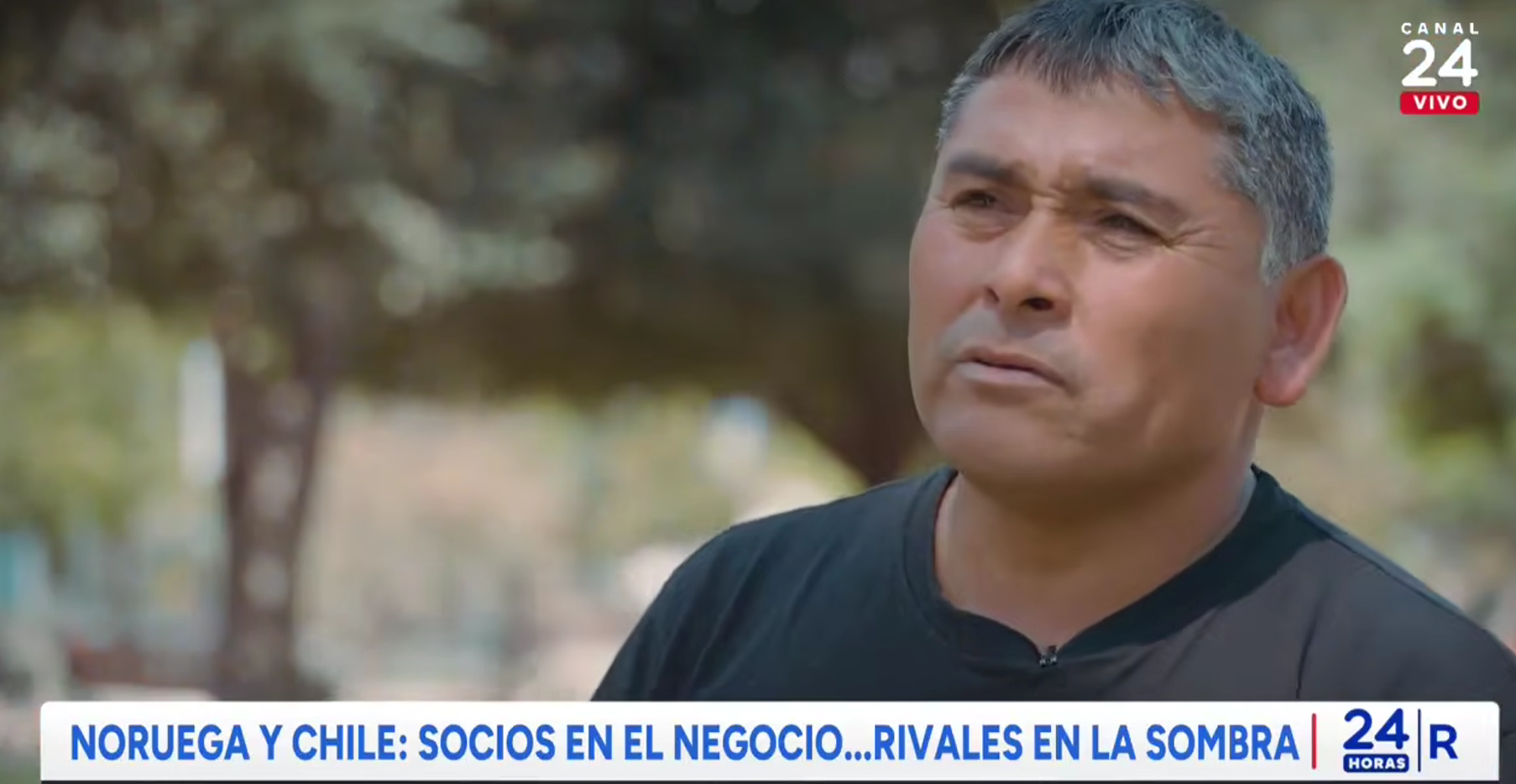 Reportaje revela financiamiento extranjero a comunidades lafkenche en zonas salmoneras de Aysén