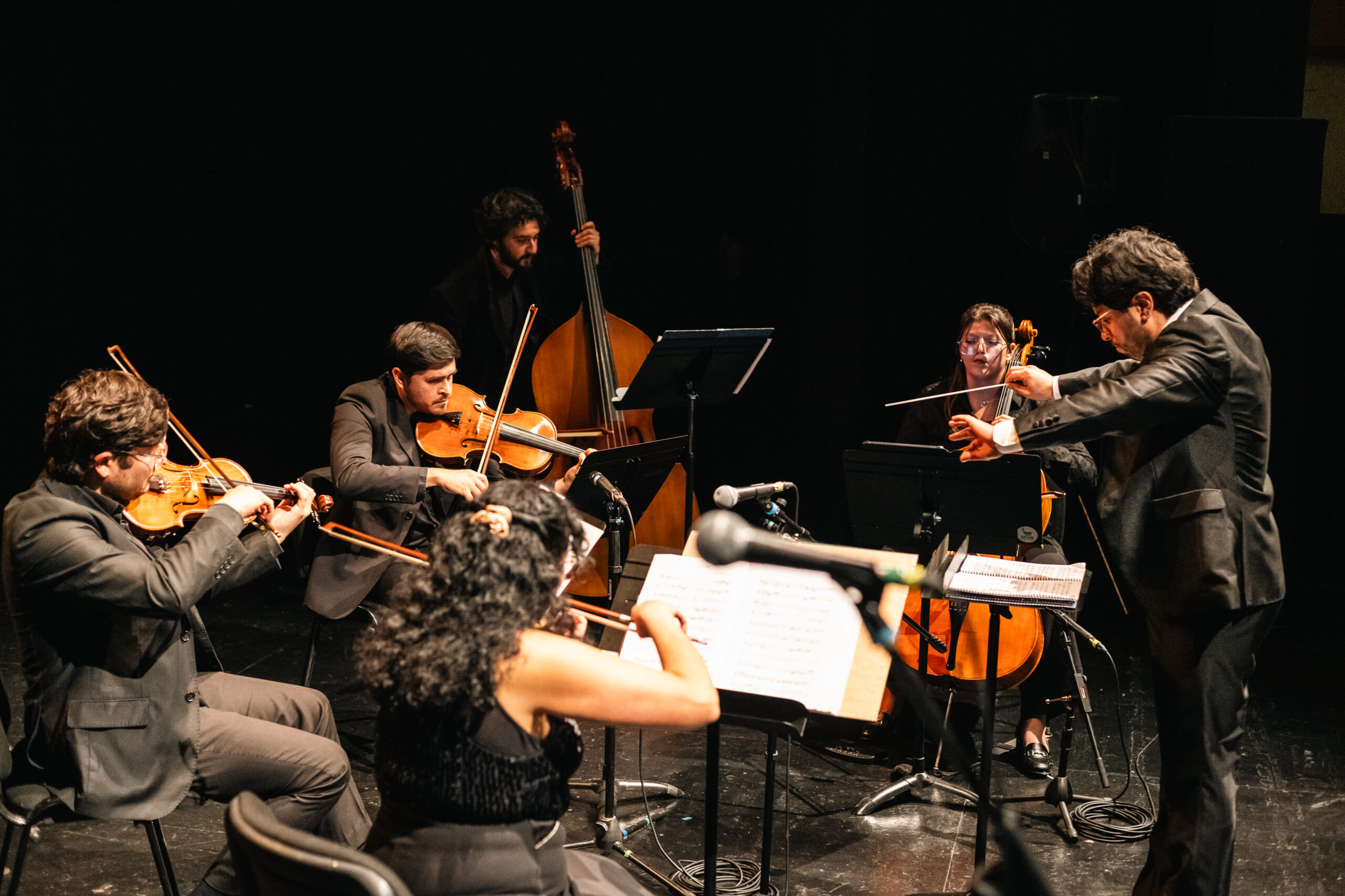 Orquesta de Cámara de la UAysén llevará música chilena y latinoamericana al norte de la región