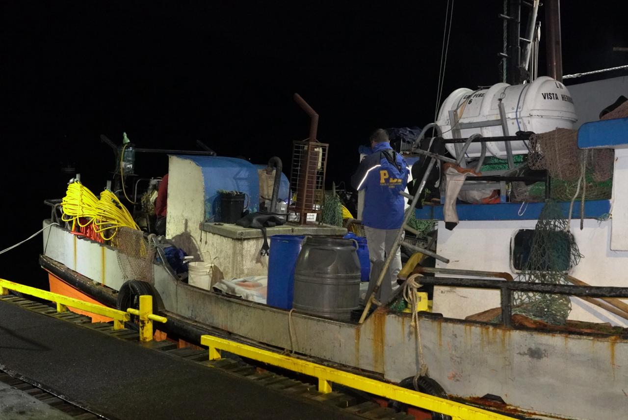 Buzo mariscador fallece durante faenas extractivas en Canal Pulluche: Armada y Fiscalía investigan las causas