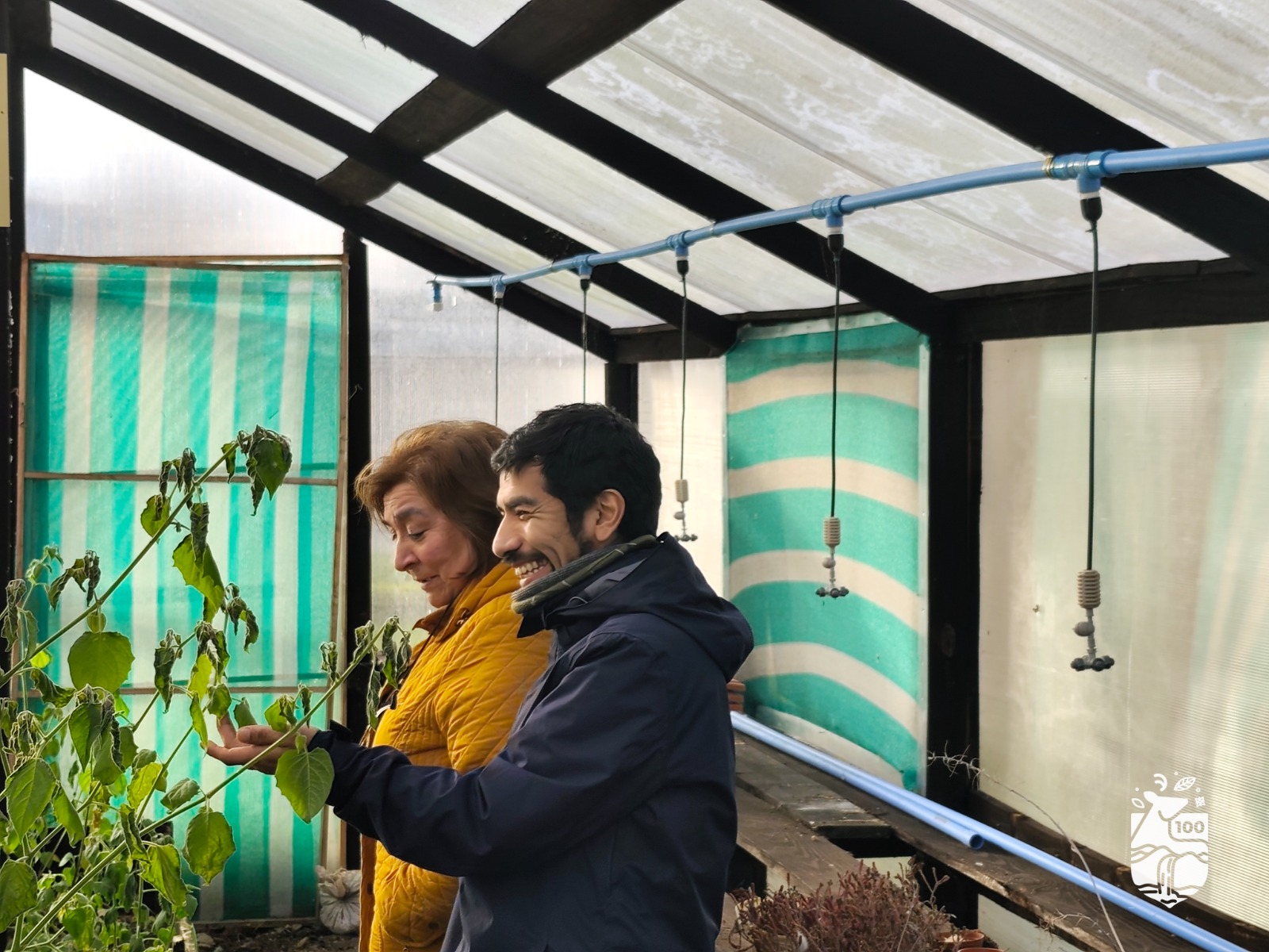 Taller práctico de riego fortalece las capacidades de productores ayseninos