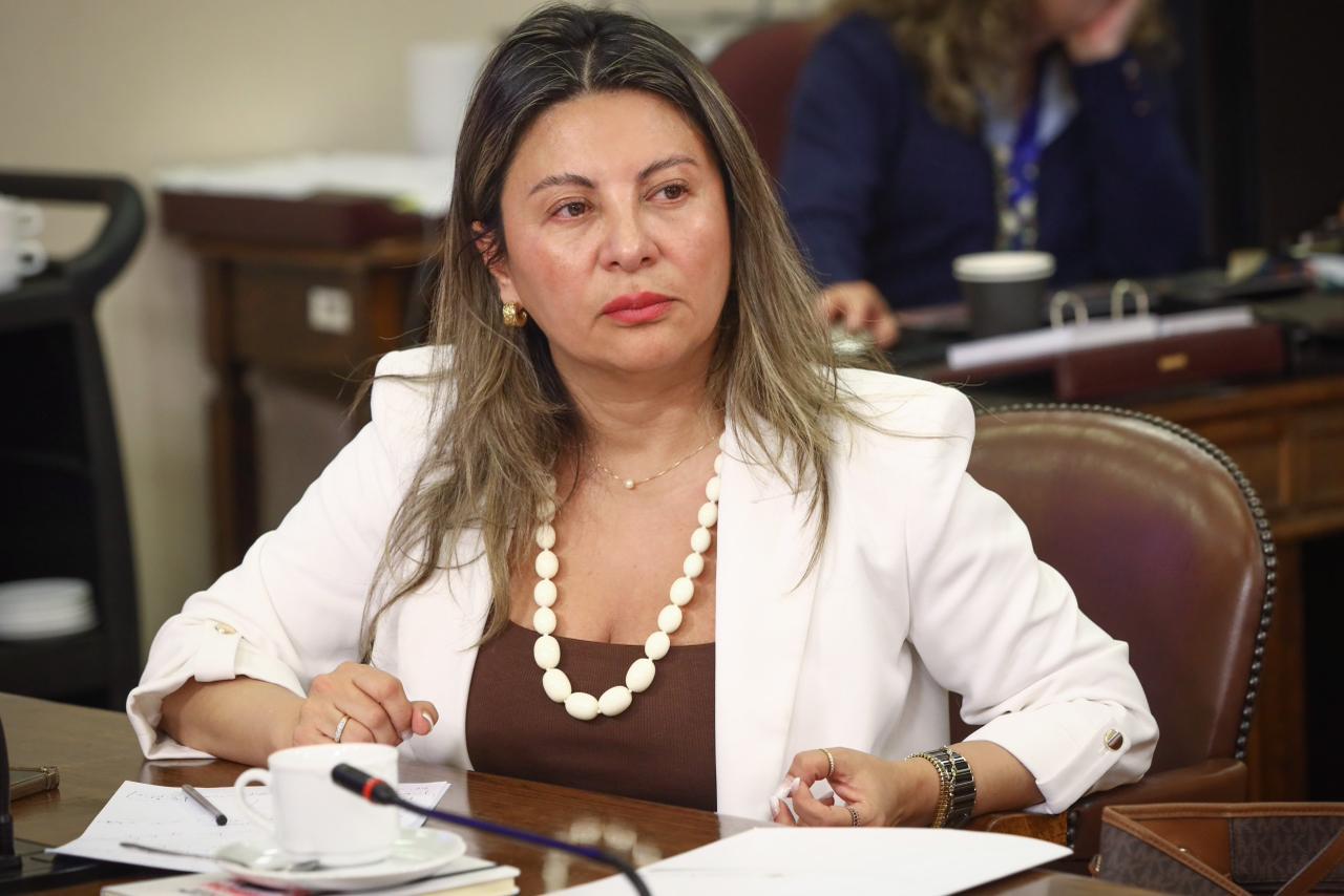 Diputada Alejandra Valdebenito respaldó proyecto para fortalecer el control migratorio: “Las regiones extremas no somos inmunes a este fenómeno”