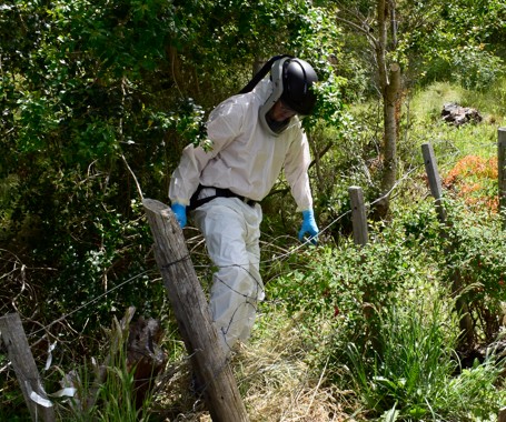 Salud refuerza medidas de autocuidado frente a confirmación de 02 nuevos casos por Hantavirus