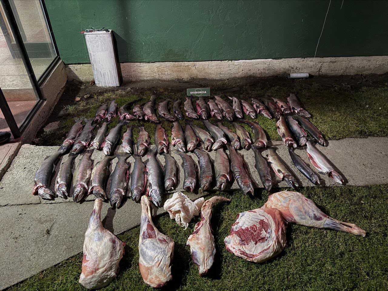 Carabineros detuvo a tres personas tras procedimiento por abigeato e infracción a la Ley de Pesca en Cochrane