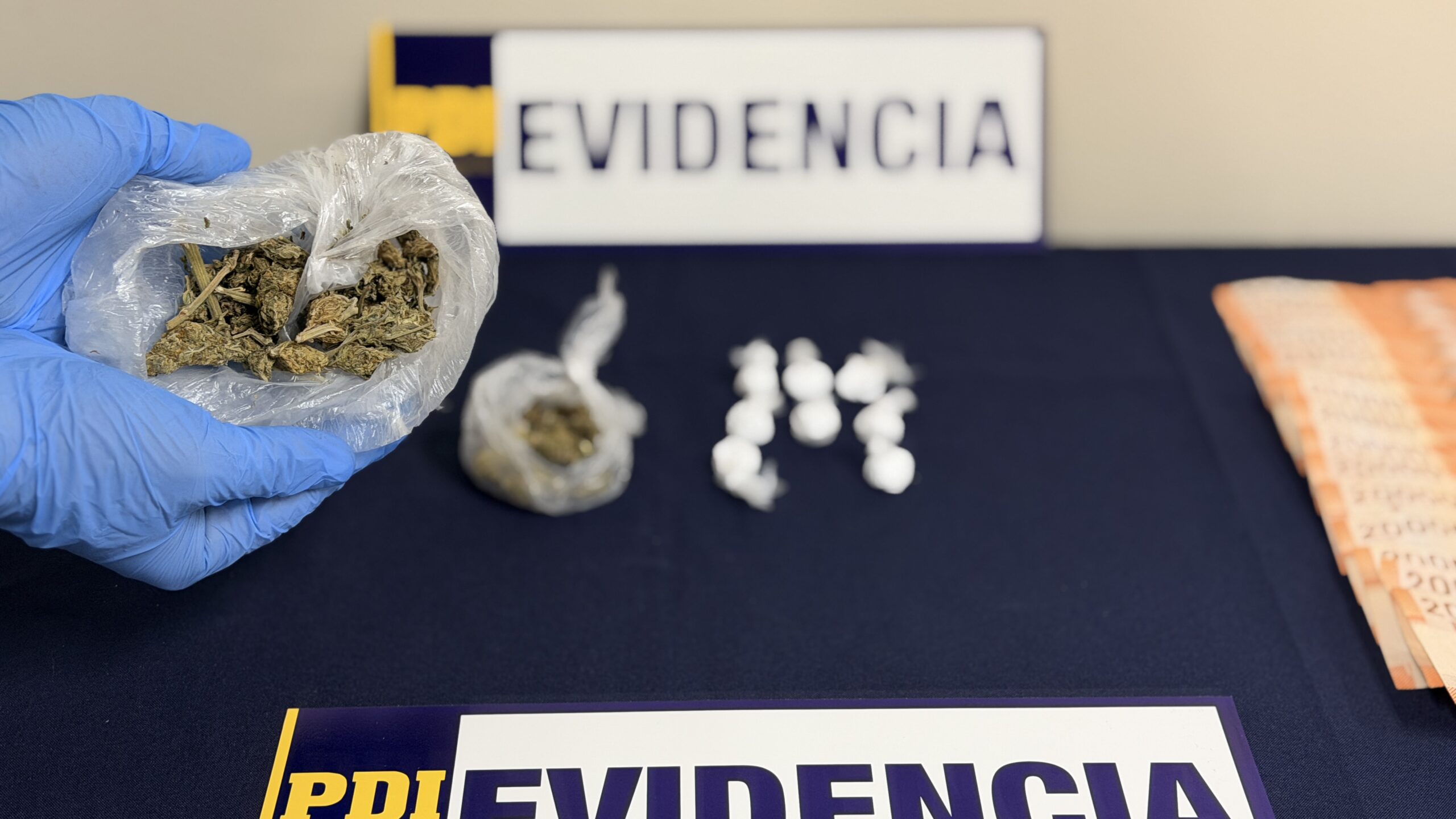 Trabajo conjunto de PDI y SAC Aysén permite detención de líder de organización criminal ligada al tráfico de drogas en Coyhaique