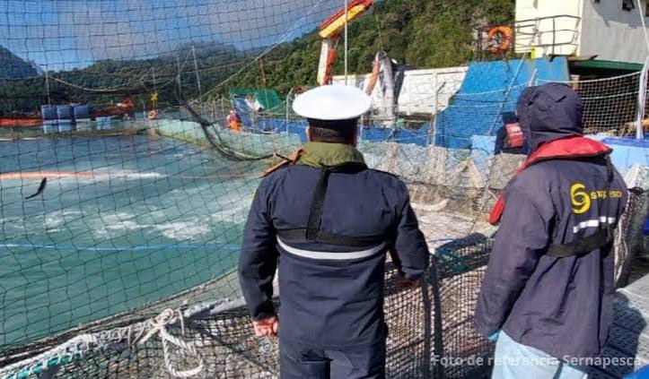 Detectan brote de virus ISA en centro de Salmones Camanchaca
