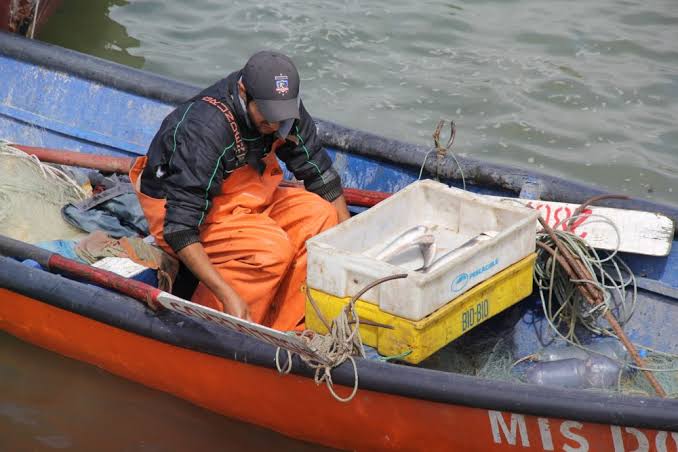 Pescadores de Los Lagos y Aysén proponen medidas para recuperar la merluza austral