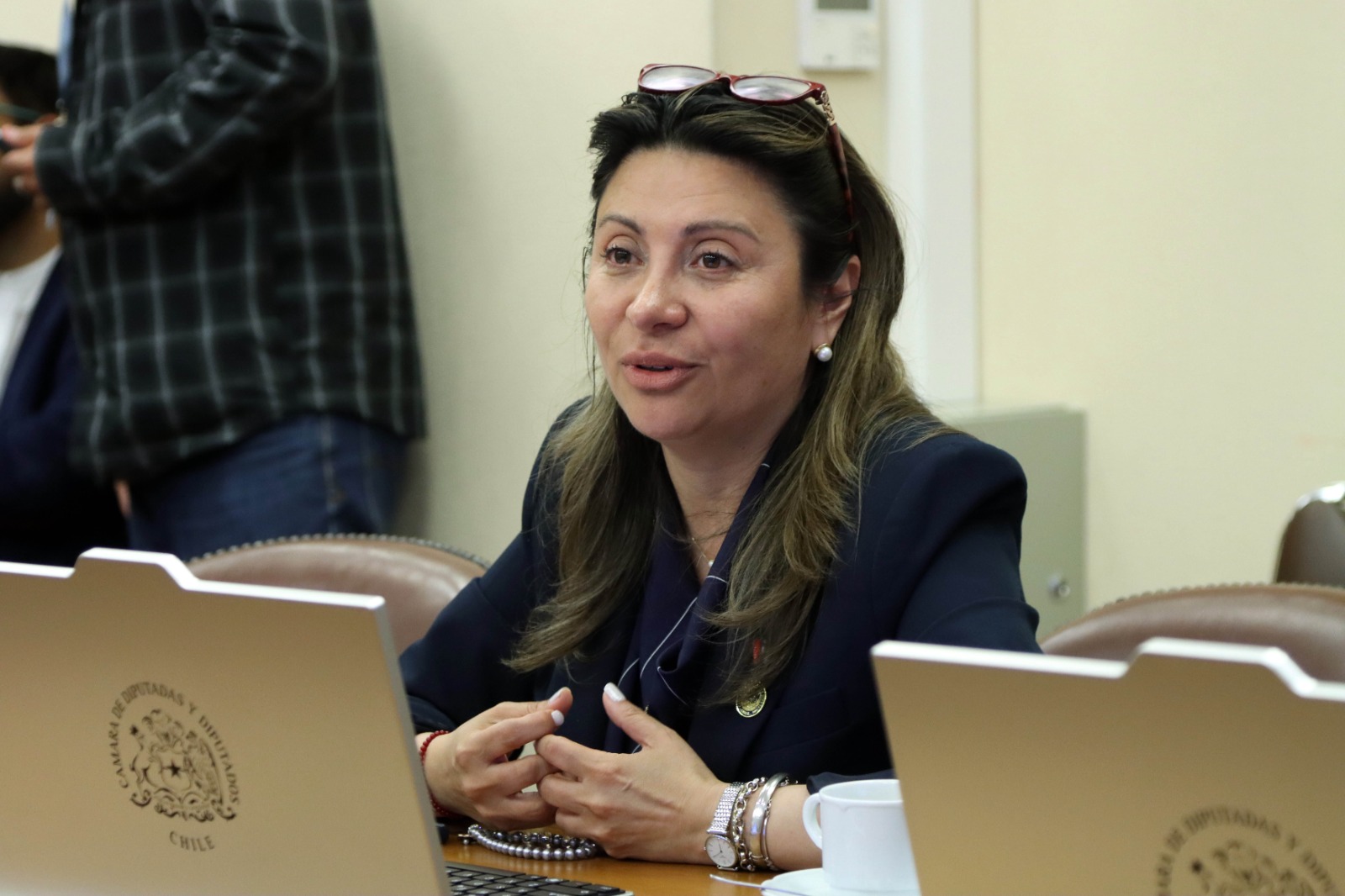 Valdebenito oficia al Ministerio de Medio Ambiente por 428 calefactores sin instalar en Aysén y pide aclarar el uso de recursos públicos